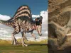 Encontraron en el desierto del Sáhara los fósiles de un dinosaurio de 13 metros que tendría cresta de colores