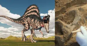 Encontraron en el desierto del Sáhara los fósiles de un dinosaurio de 13 metros que tendría cresta de colores