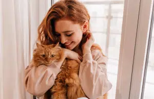 ¿Primer gato en casa? Guía práctica con los tips esenciales para tutores primerizos