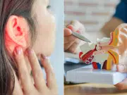 Un error ‘silencioso’ en las proteínas del oído puede acabar con las células que nos permiten escuchar: estudio lo vincula con sordera genética