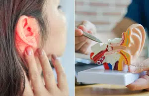 Un error ‘silencioso’ en las proteínas del oído puede acabar con las células que nos permiten escuchar: estudio lo vincula con sordera genética