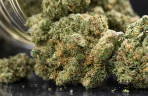 Estudio vincula el consumo de cannabis en la adolescencia con mayor riesgo de psicosis y trastorno bipolar