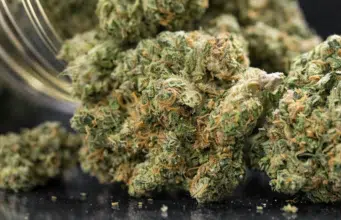 Estudio vincula el consumo de cannabis en la adolescencia con mayor riesgo de psicosis y trastorno bipolar