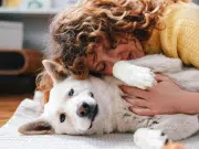 Un estudio revela que la presencia de perros en interiores influye en la calidad del aire: ‘Liberan cantidades considerables de partículas’