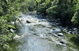 La Aguada del cañón del río Santo Domingo