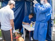 Brigada de veterinaria gratis este sábado 21 de febrero en La Candelaria