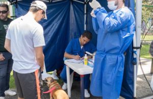 Brigada de veterinaria gratis este sábado 21 de febrero en La Candelaria