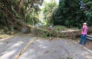 Lluvias en Colombia: hay 32 afectaciones en la infraestructura vial