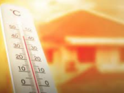 Enero de 2026 fue el 5º más cálido registrado a nivel mundial