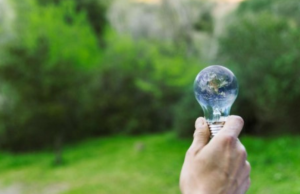 Entender consumo de energía, clave para la sostenibilidad