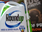 Bayer acuerda millonario pago por litigios de herbicida Roundup