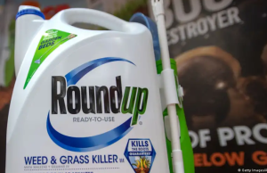 Bayer acuerda millonario pago por litigios de herbicida Roundup