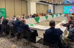 Consultas profundizan la división en las toldas de la Alianza Verde