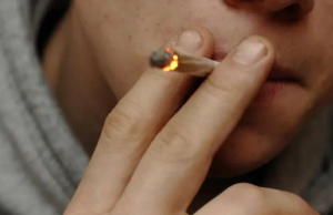 Efectos lesivos de la marihuana son cada vez más graves