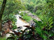 Abren convocatoria para incentivos a protectores de nacimientos de agua