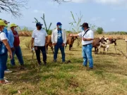 Choque entre MinAgricultura y Asociación Minera por suelo cordobés