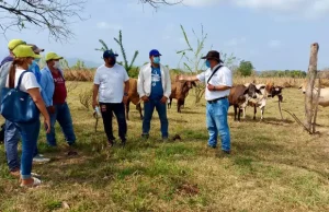 Choque entre MinAgricultura y Asociación Minera por suelo cordobés