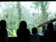 Cada 20 horas un niño o niña en Colombia es reclutado para la guerra