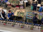 Por San Valentín, Colombia exportó más de 65.000 toneladas de flores