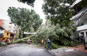 Dagrd desarrolla acciones de gestión del riesgo de desastres en la comuna 14
