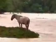 Restringido el paso en tres rutas de Córdoba por inundaciones