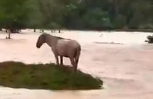 Restringido el paso en tres rutas de Córdoba por inundaciones