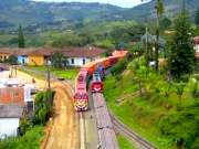 Sanción millonaria contra Ferrocarriles del Pacífico ratifica Tribunal
