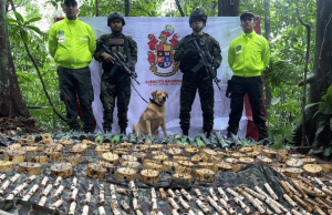Neutralizan 190 granadas adaptadas para drones en El Castillo, Meta