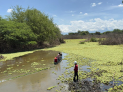Millonaria inversión en recuperación y mantenimiento de 23 humedales