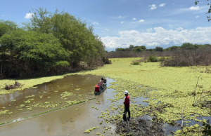 Millonaria inversión en recuperación y mantenimiento de 23 humedales