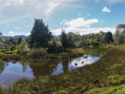 ¿Dónde hacer avistamiento de fauna en Bogotá?
