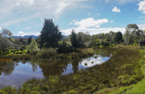 ¿Dónde hacer avistamiento de fauna en Bogotá?