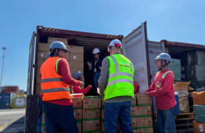 Fijan reglas para importación de plásticos de un solo uso en Colombia