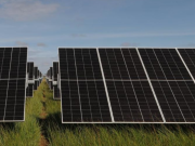 Otorgan licencia al proyecto Parque Solar Las Palmeras en El Copey, Cesar