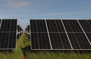 Otorgan licencia al proyecto Parque Solar Las Palmeras en El Copey, Cesar