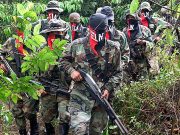 Grupos armados ilegales crecieron más de 10 mil hombres durante este gobierno