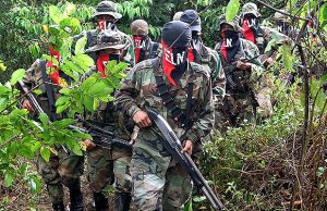 Grupos armados ilegales crecieron más de 10 mil hombres durante este gobierno