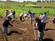 Malas señales del agro en el comienzo del año por impacto del clima