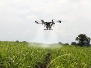 PIB del agro comenzó a ceder y enfrenta impacto de las inundaciones