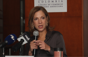 “Decisiones del gobierno desbordan la Constitución y las reglas vigentes”