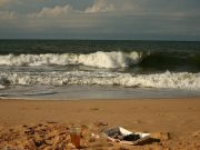 Identifican las bacterias clave en el océano que descomponen plásticos y contaminación: claves para la lucha
