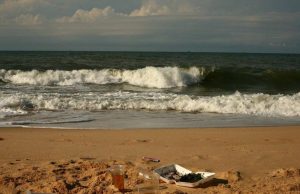 Identifican las bacterias clave en el océano que descomponen plásticos y contaminación: claves para la lucha