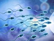 No eyacular frecuentemente afecta la calidad de los espermatozoides: estudio global revela que almacenar el esperma reduce su calidad y fertilidad