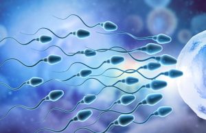 No eyacular frecuentemente afecta la calidad de los espermatozoides: estudio global revela que almacenar el esperma reduce su calidad y fertilidad