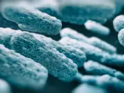 Una de cada seis infecciones generadas por bacterias ya no responde a los antibióticos: alerta global impacta a Colombia