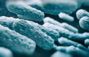 Una de cada seis infecciones generadas por bacterias ya no responde a los antibióticos: alerta global impacta a Colombia