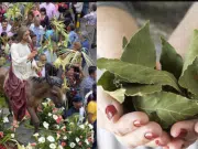 ¿Cómo se conmemora el Domingo de Ramos y qué significado tienen las procesiones, las palmas y la preparación de los fieles para la Semana Santa?