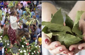 ¿Cómo se conmemora el Domingo de Ramos y qué significado tienen las procesiones, las palmas y la preparación de los fieles para la Semana Santa?