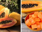 Estudiantes en Bolivia desarrollan anticonceptivo masculino reversible a partir de semilla de papaya
