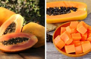 Estudiantes en Bolivia desarrollan anticonceptivo masculino reversible a partir de semilla de papaya